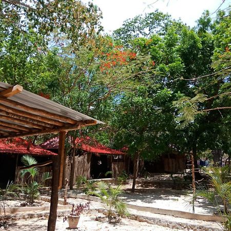 بيت شباب Soul Breeze Backpackers Diani شاطئ دياني المظهر الخارجي الصورة